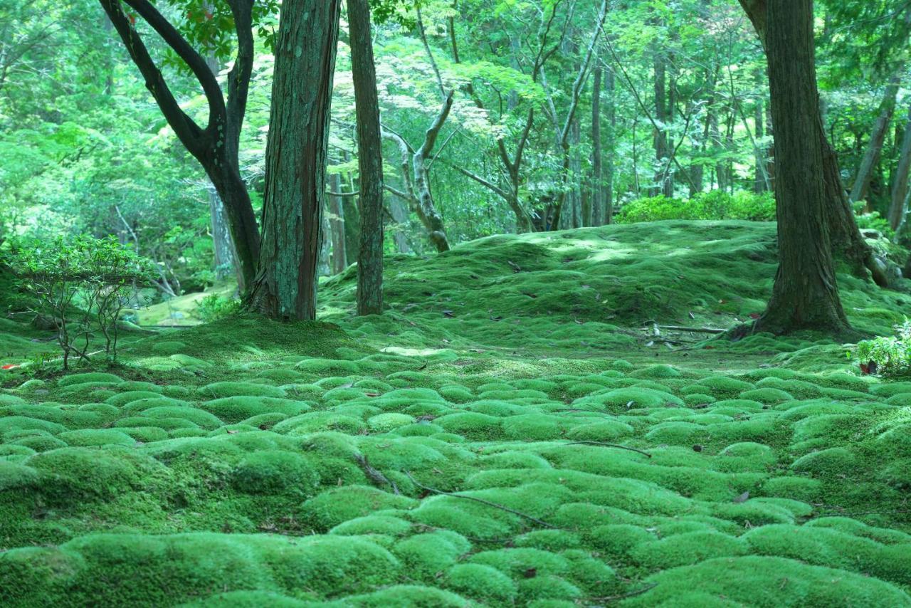 Hotel Arrows Arashiyama Киото Екстериор снимка